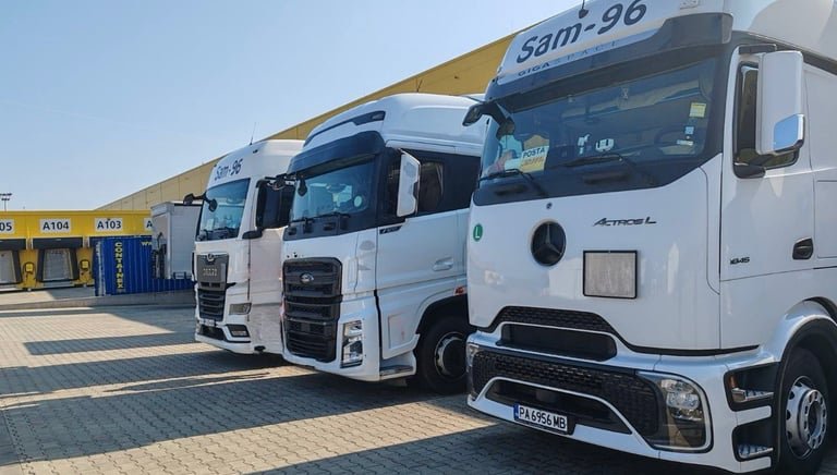 Международен транспорт